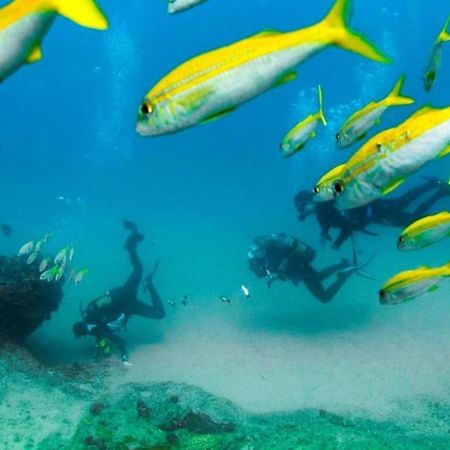Devocean Eco Adventure Lodge Понта-ду-Оуро Экстерьер фото