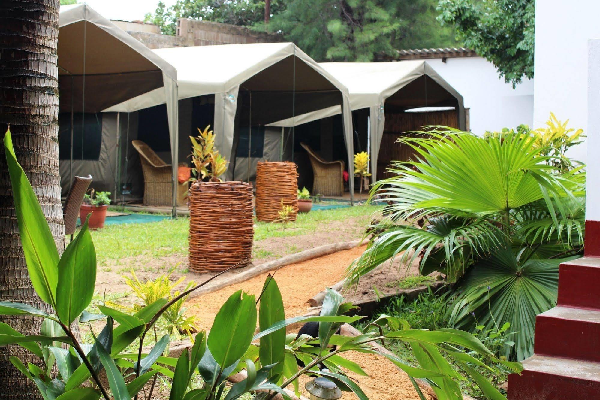 Devocean Eco Adventure Lodge Понта-ду-Оуро Экстерьер фото