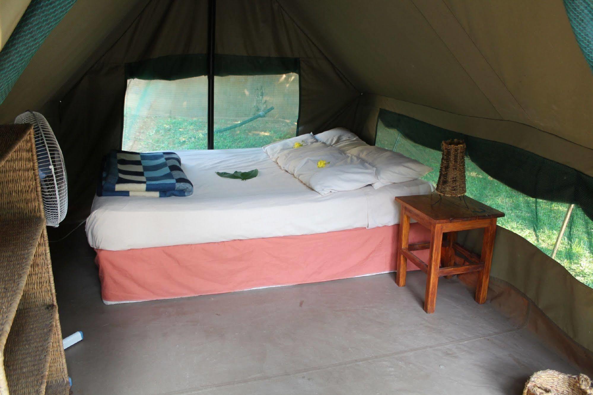 Devocean Eco Adventure Lodge Понта-ду-Оуро Экстерьер фото